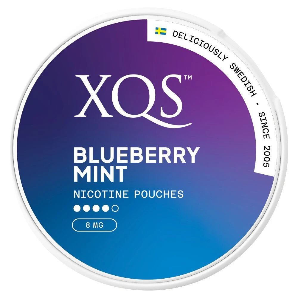 XQS Blueberry Mint 8mg nicotine pouches