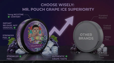 MR.POUCH VS Other Brand nicotine pouches instant release compared