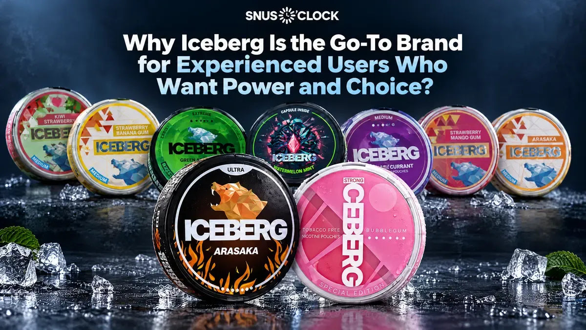 Why Iceberg Is the Go-To Brand for Experienced Users Who Want Power and Choice?