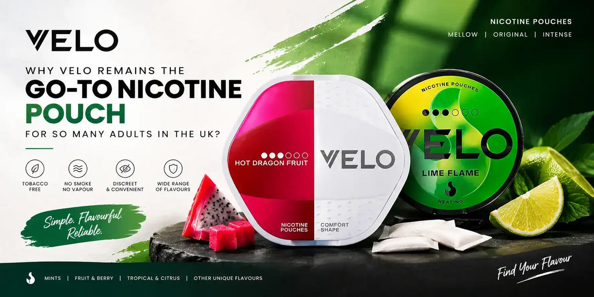 VELO Remains the Go-To Nicotine Pouch 