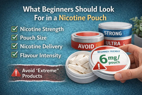 Beginner guide showing what to look for in a nicotine pouch including strength and pouch size