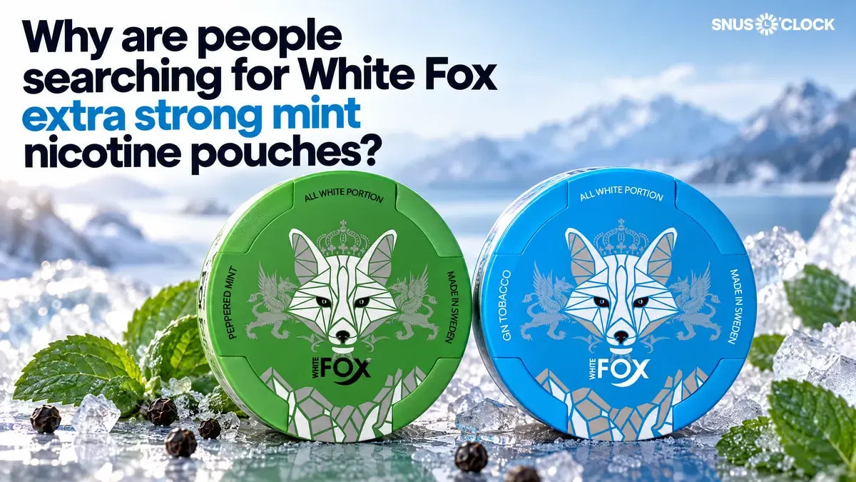 Why are people searching for White Fox extra strong mint nicotine pouches? 