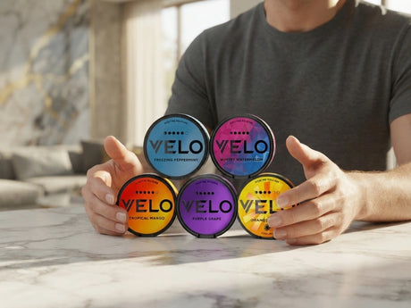Bundle of 5: VELO 14mg Fresh