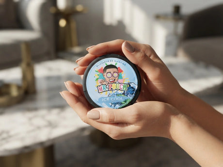 Mr.pouch Ice Cool 20mg