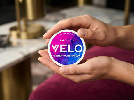 VELO Wintry Watermelon 6mg