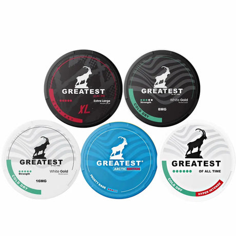 Bundle of 5 GREATEST Minty nicotine pouches – tobacco-free nicotine pouches