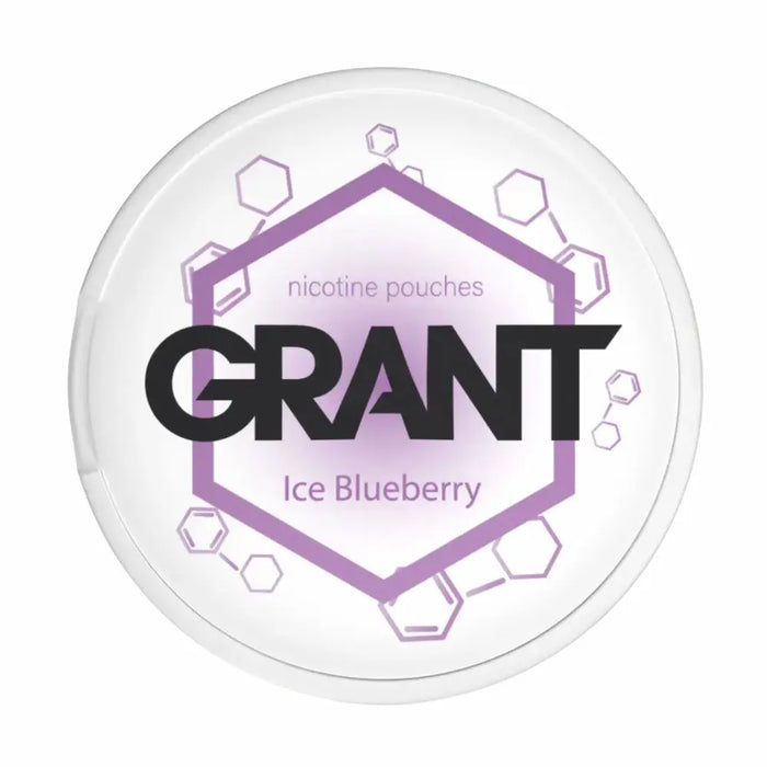 GARANT Ice Blueberry 10mg nicotine pouches cool blueberry flavour UK