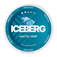 ICEBERG Arctic Mint 20mg nicotine pouches with cooling mint flavour