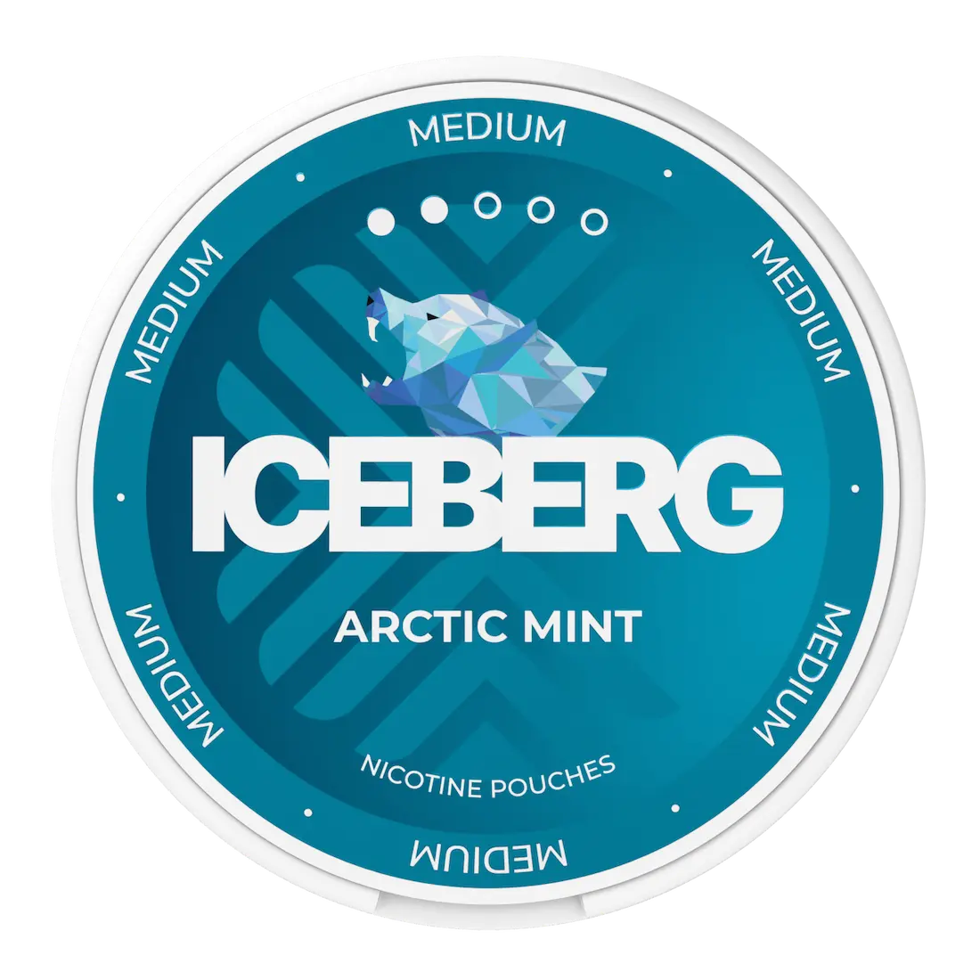 ICEBERG Arctic Mint 20mg nicotine pouches with cooling mint flavour