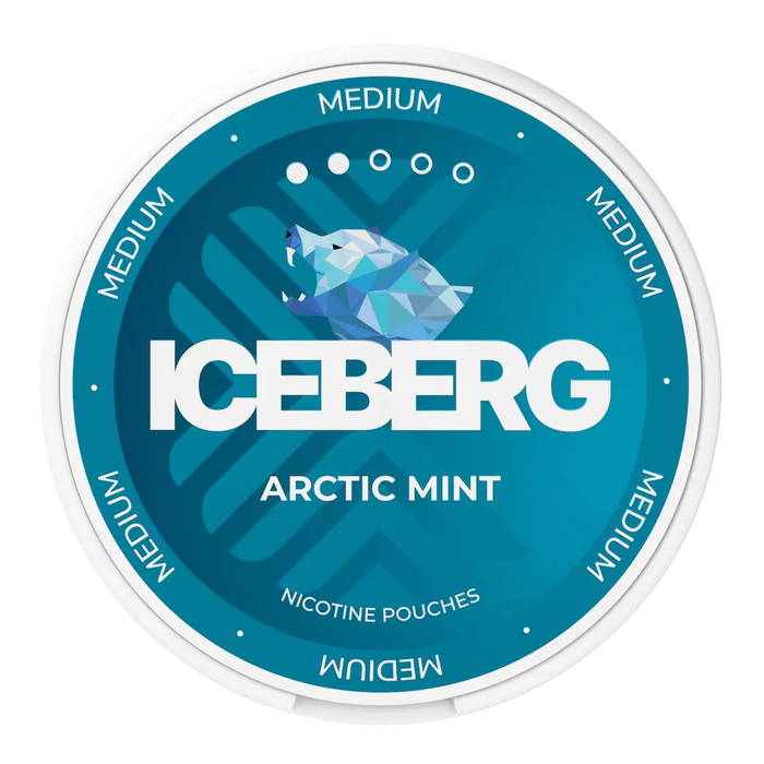 ICEBERG Arctic Mint 20mg nicotine pouches with cooling mint flavour