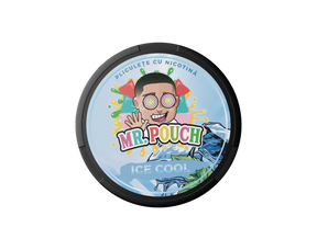 Buy Mr. Pouch Ice Cool 20mg Nicotine Pouches