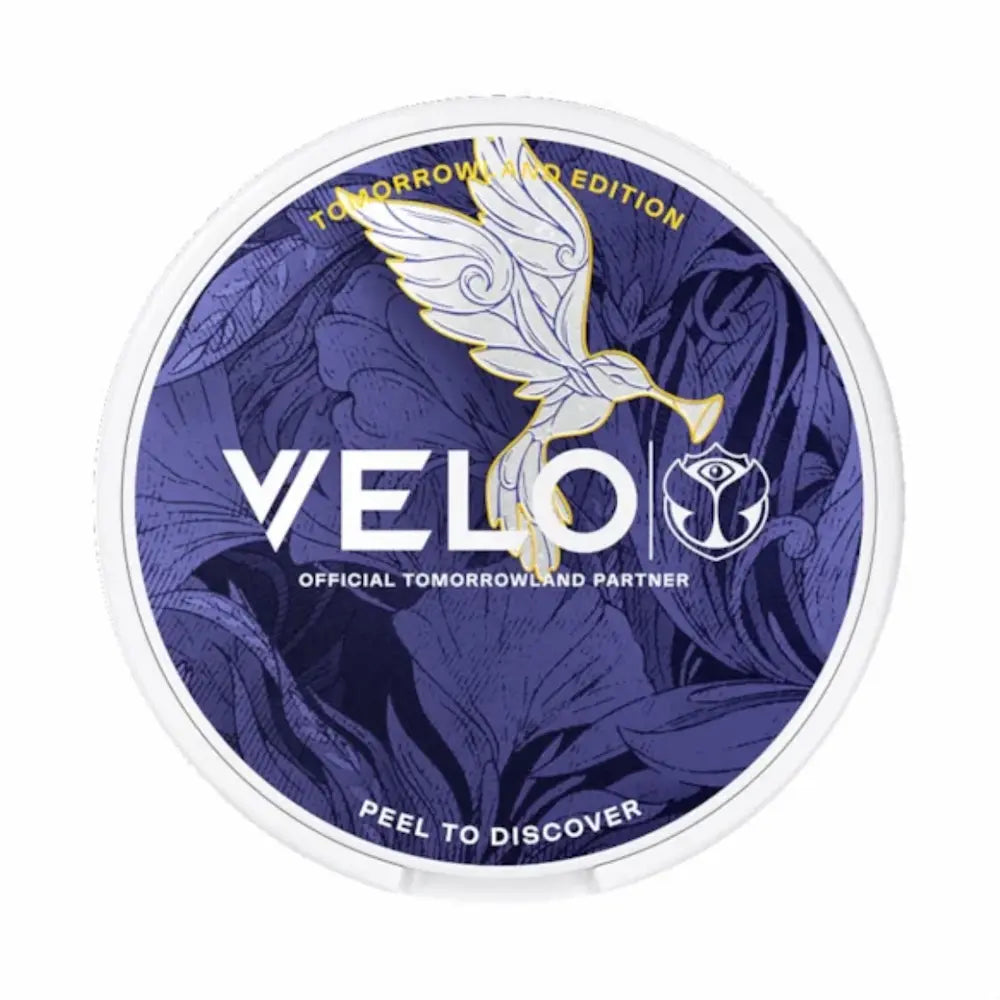 VELO Tomorrowland