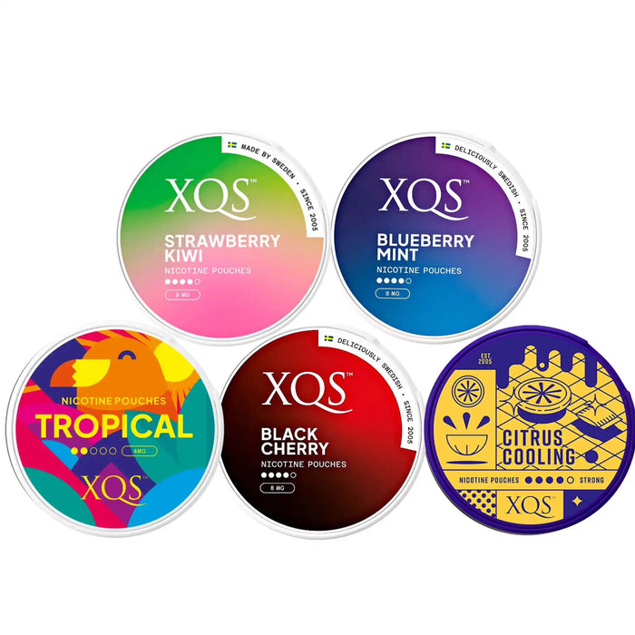 Bundle of 5 XQS 8mg nicotine pouches