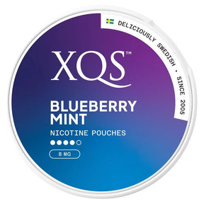 XQS Blueberry Mint 8mg nicotine pouches