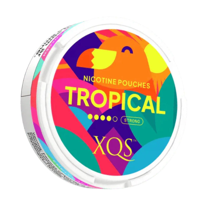XQS Tropical 8mg nicotine pouches
